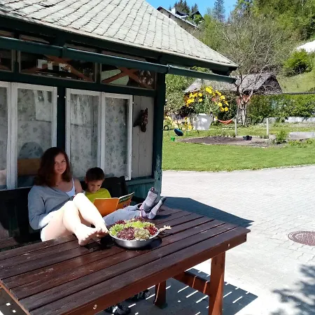 Ausseer Kleeblatt شقة *