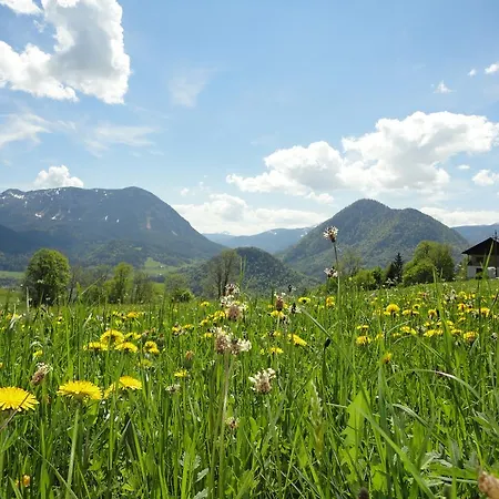 아파트 Ausseer Kleeblatt *