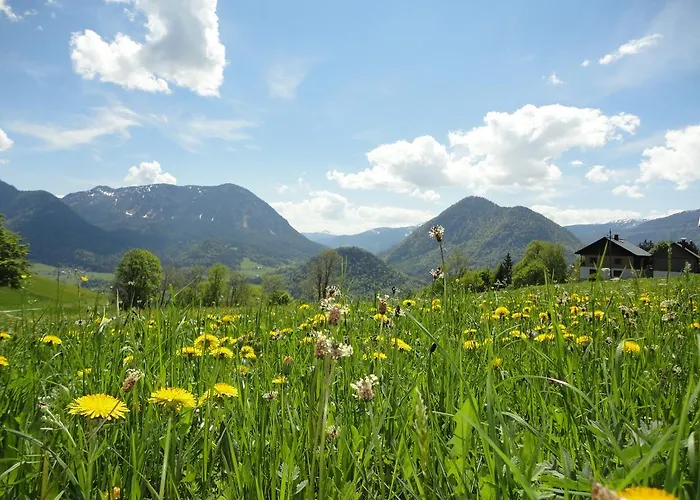 Apartamento Ausseer Kleeblatt *